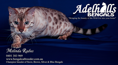 Adelhills breeder graphic preview
