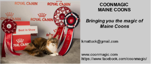 Coonmagic breeder graphic preview