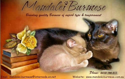 Mandalei breeder graphic preview